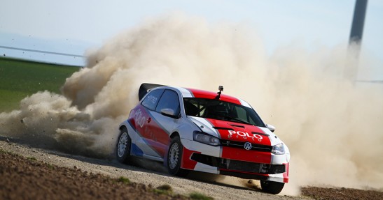 Testy Polo Proto
